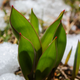 Image for article titled Shooting Challenge: Spring Gallery 2